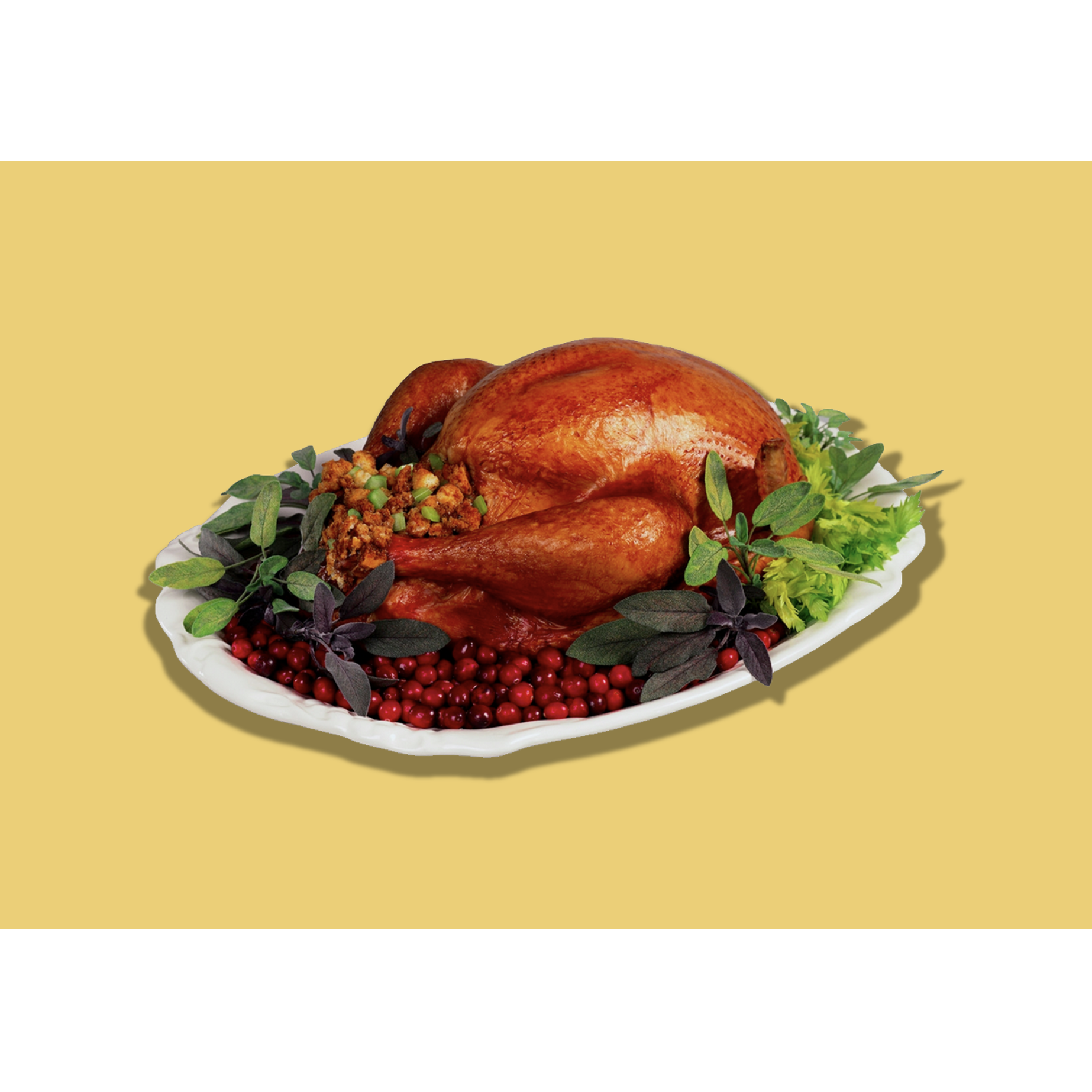 Thanksgiving